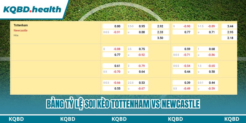 Dự đoán Tottenham Vs Newcastle Ngày 11/2 - Chích Chòe Sải Cánh 4 Bảng tỷ lệ soi kèo Tottenham vs Newcastle