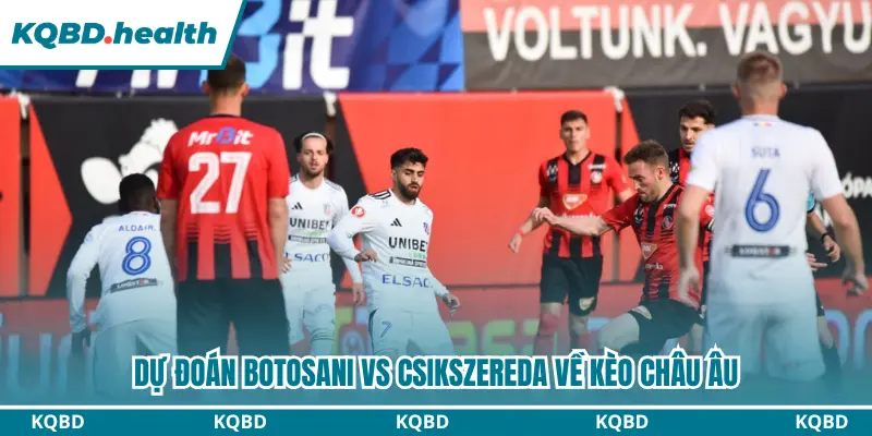 Dự Đoán Botosani Vs Csikszereda Lúc 22h30 Ngày 24/8 - VĐQG Romania 3 Dự đoán Botosani vs Csikszereda về kèo châu Âu